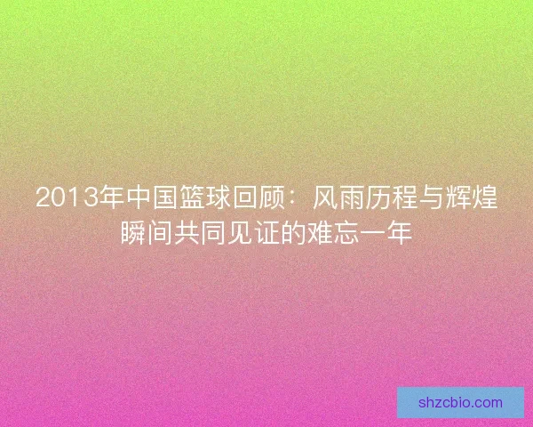 2013年中国篮球回顾：风雨历程与辉煌瞬间共同见证的难忘一年