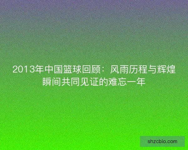 2013年中国篮球回顾：风雨历程与辉煌瞬间共同见证的难忘一年