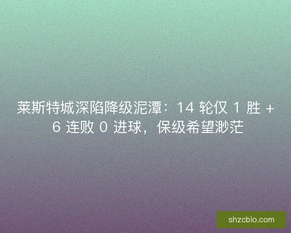 莱斯特城深陷降级泥潭：14 轮仅 1 胜 + 6 连败 0 进球，保级希望渺茫