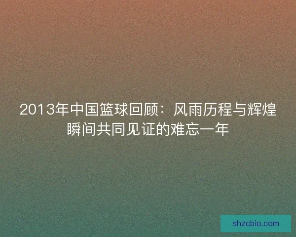 2013年中国篮球回顾：风雨历程与辉煌瞬间共同见证的难忘一年