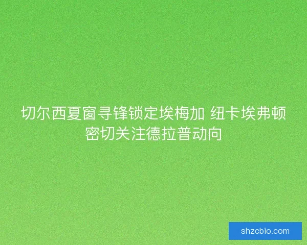 切尔西夏窗寻锋锁定埃梅加 纽卡埃弗顿密切关注德拉普动向