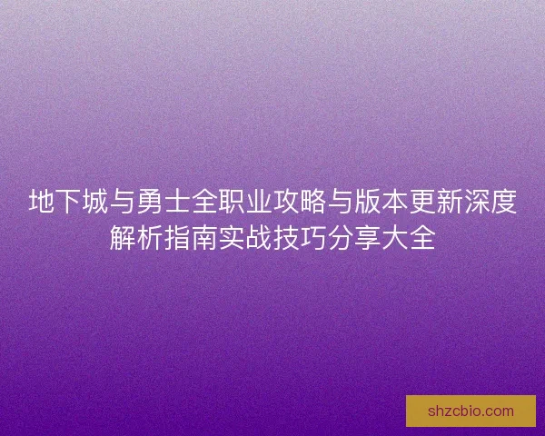地下城与勇士全职业攻略与版本更新深度解析指南实战技巧分享大全