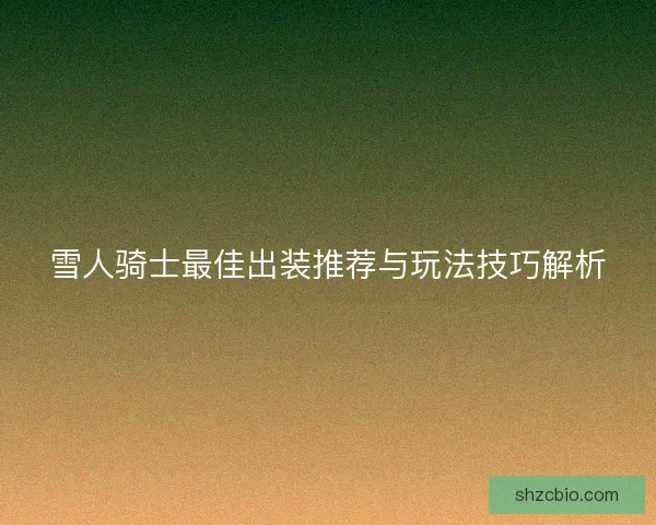 雪人骑士最佳出装推荐与玩法技巧解析