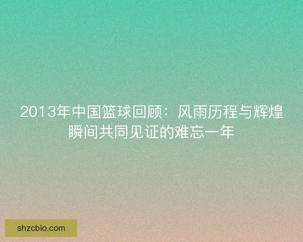 2013年中国篮球回顾：风雨历程与辉煌瞬间共同见证的难忘一年
